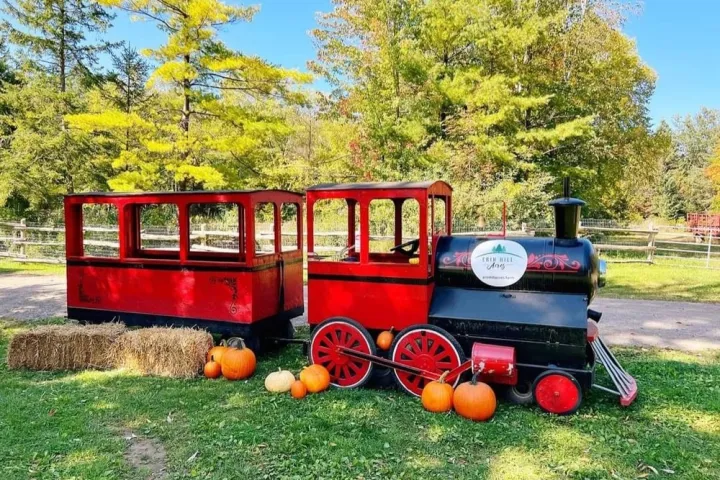 Red and black toy train with pumpkins and hay bales on grass, surrounded by trees.