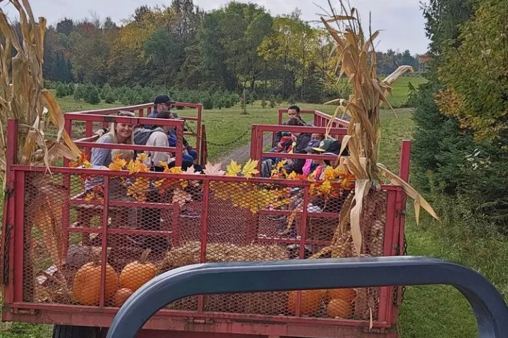 People on a festive tractor ride with pumpkins and autumn leaves, outdoors.
