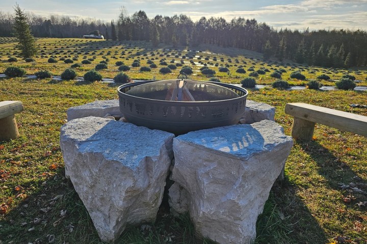 Outdoor fire pit on stone base, benches, and field with rows of small bushes.