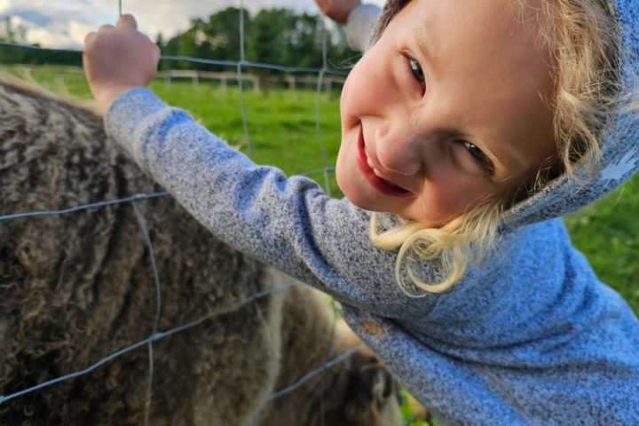 Child with blond hair in a hoodie smiling, hugging a sheep by a wire fence in a green pasture.