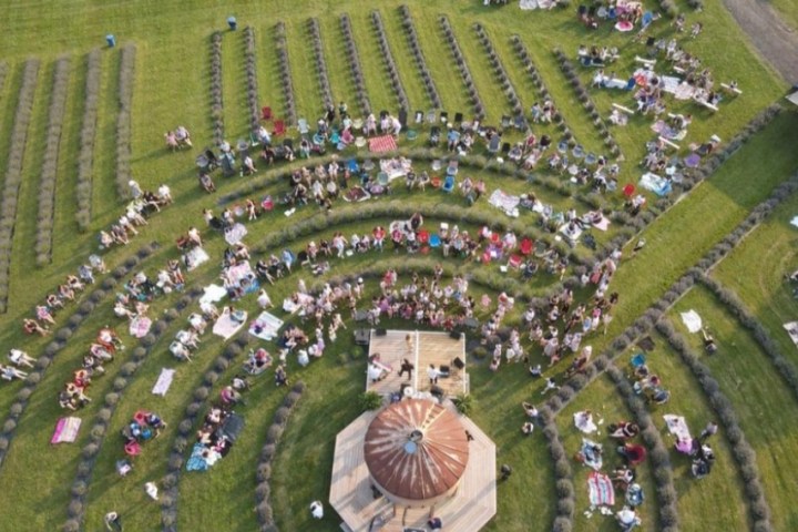 Aerial view of people seated in concentric semi-circles on grass with a central stage.