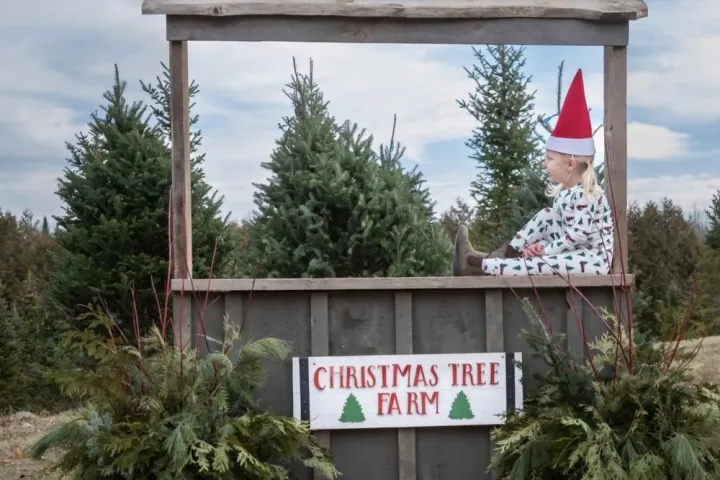 Child wearing a red hat sits on a Christmas tree farm display with evergreen trees behind.