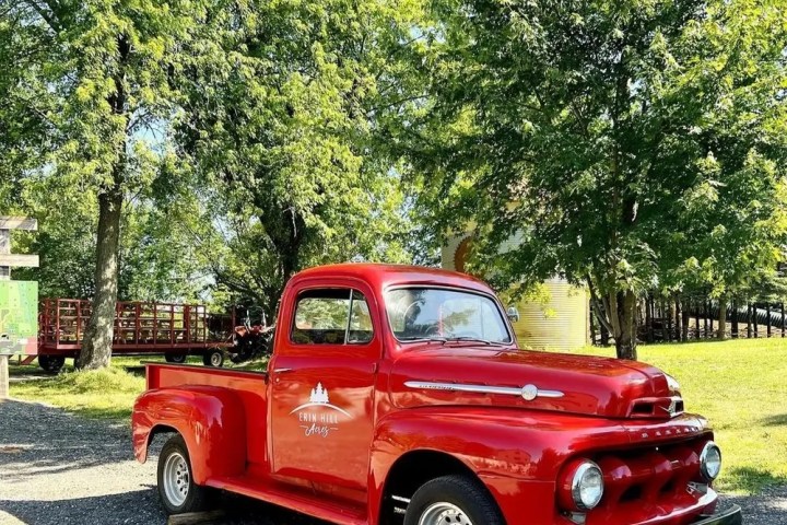 Red vintage pickup truck parked on gravel with trees in the background.