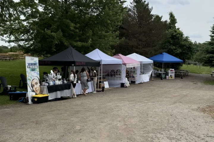 Outdoor market with several canopies and trees in the background on a cloudy day.