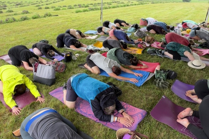 People practicing yoga under a tent in a field, performing child's pose on mats.