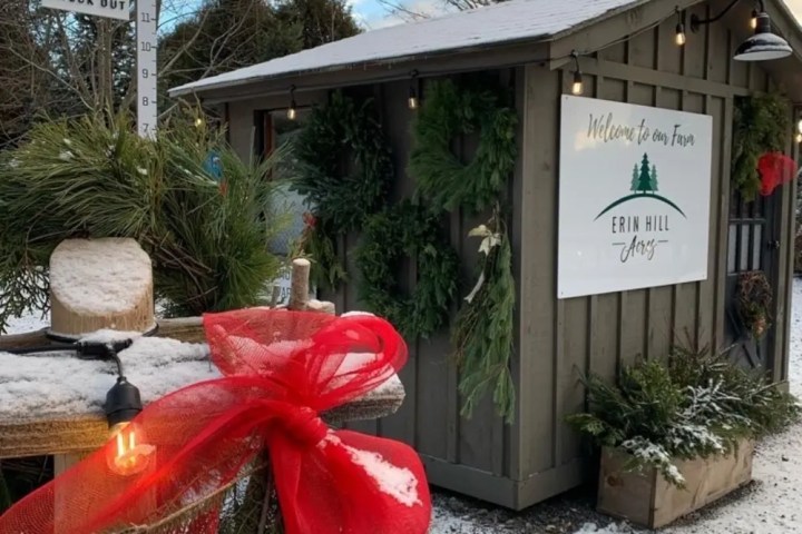 Snowy farm shed with Christmas decor and 'Check Out' sign, surrounded by trees and wreaths.