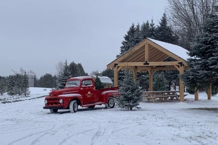 Red vintage truck parked near a wooden gazebo in a snowy landscape with evergreen trees.