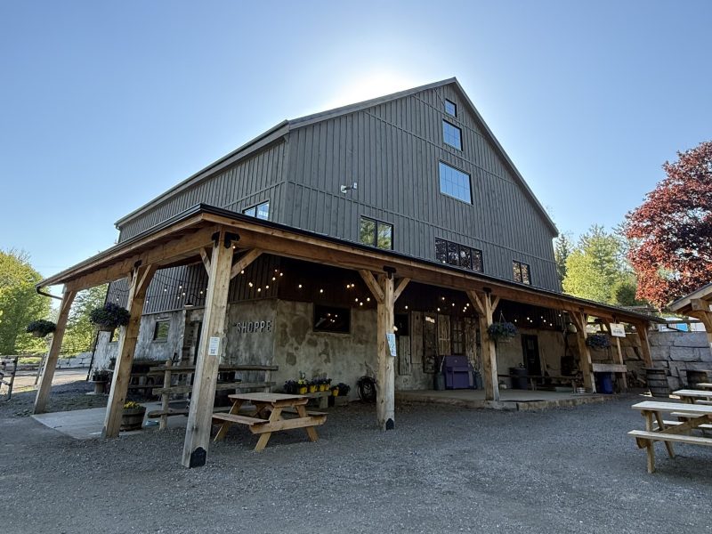 Wooden barn with picnic tables, under clear blue sky and sun overhead.