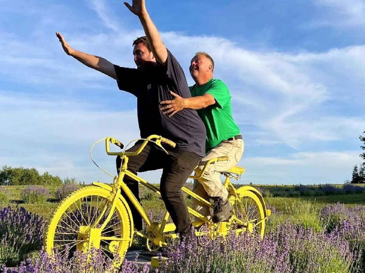 Two people on a yellow tandem bike in a lavender field under a blue sky.