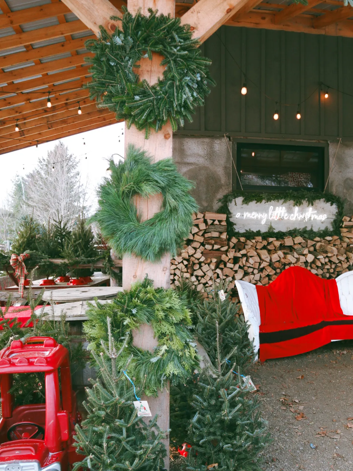 Christmas wreaths on a wooden post, red toy car, trees, and 'merry little Christmas' sign.