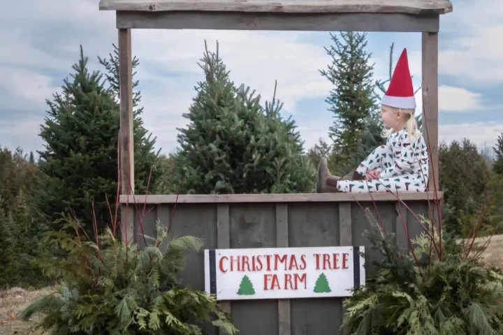 Child in elf costume sits on a wooden stand labeled 'Christmas Tree Farm' with trees and greenery around.