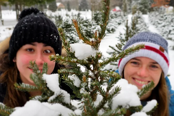 Two people in winter hats behind a snow-covered evergreen tree in a snowy landscape.