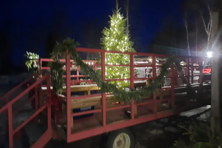 A Christmas tree with lights on a decorated trailer at night.
