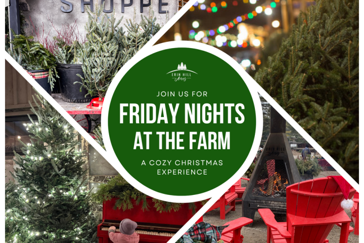 Festive farm night promo with Christmas trees, lights, and a central fire pit.