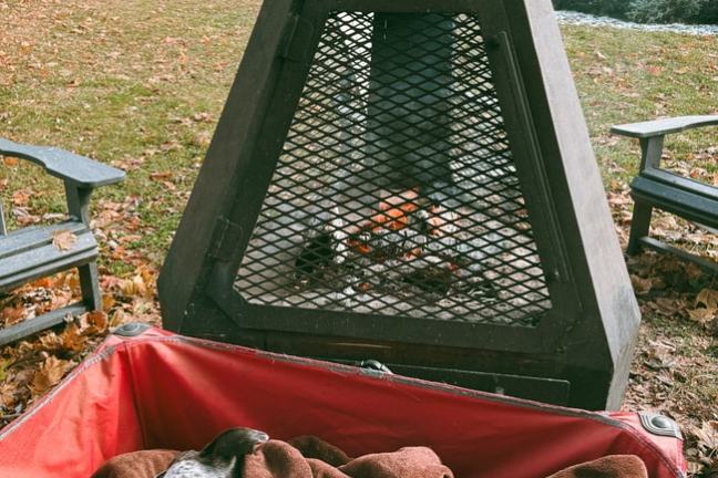 Dog wrapped in blanket in front of outdoor fireplace on grassy area with benches.