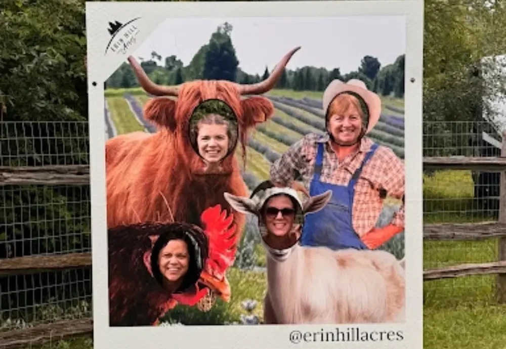 Four people posing with faces in farm animal cutout stand.